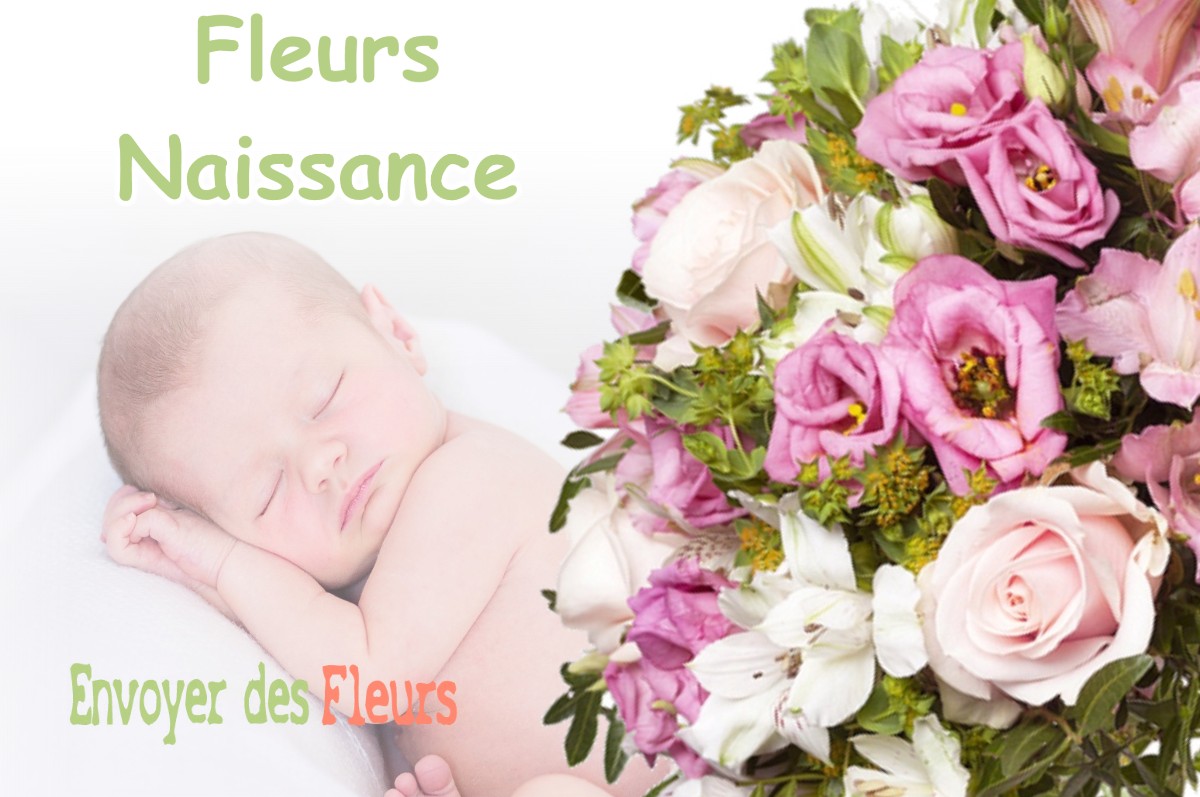 lIVRAISON FLEURS NAISSANCE à CHEVREAUX